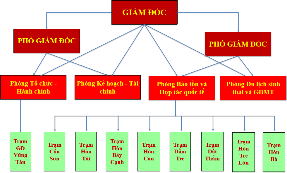 TO-CHUC-BO-MAY_2