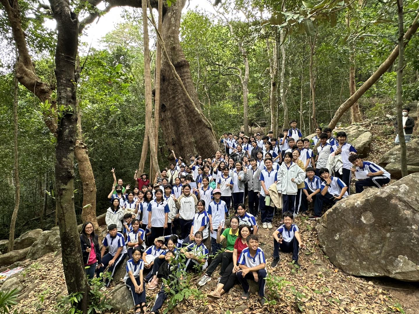 GDMT_14