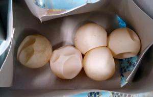 Bốn quả trứng vích ‘đổi’ hai năm tù và hơn một tỉ đồng