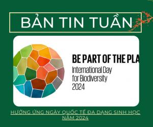 BẢN TIN TUẦN - Hưởng ứng ngày quốc tế đa dạng sinh học năm 2024