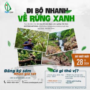 ĐI BỘ NHANH - VỀ VỚI RỪNG XANH