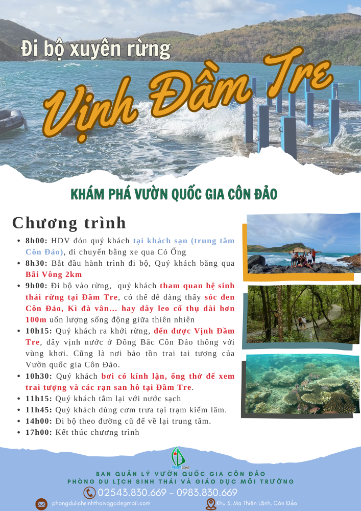 VINH_DAM_TRE